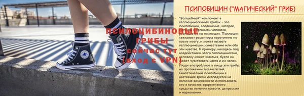 ПСИЛОЦИБИНОВЫЕ ГРИБЫ Володарск