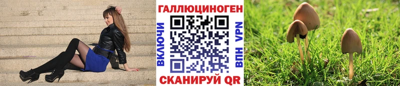 Псилоцибиновые грибы ЛСД  Невинномысск 